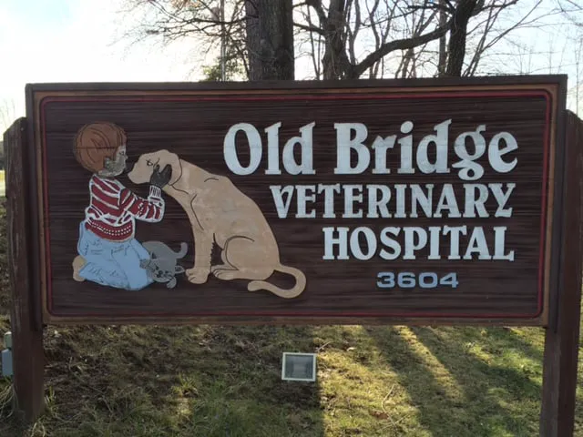 Old Bridge Veterinary Hospital 1