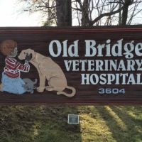 Old Bridge Veterinary Hospital ico