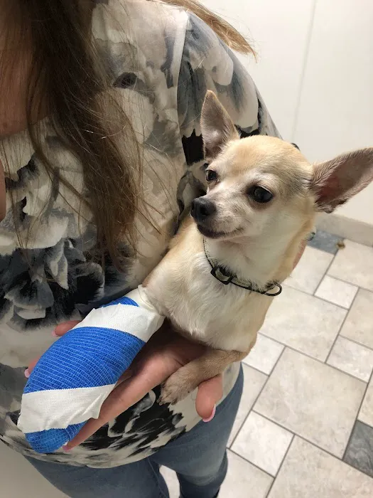 VCA Woodbridge Animal Hospital 12