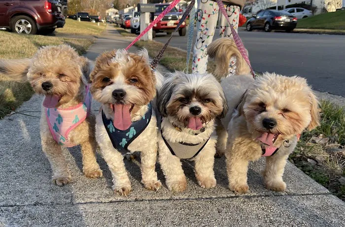 VCA Woodbridge Animal Hospital 12