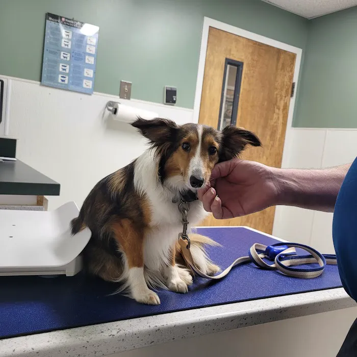 VCA Woodbridge Animal Hospital 12