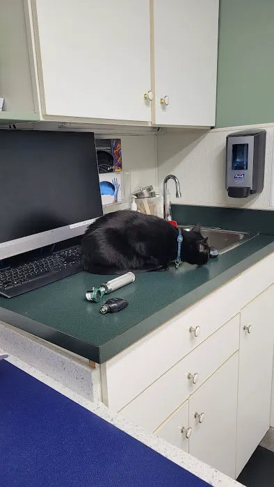 VCA Woodbridge Animal Hospital 12