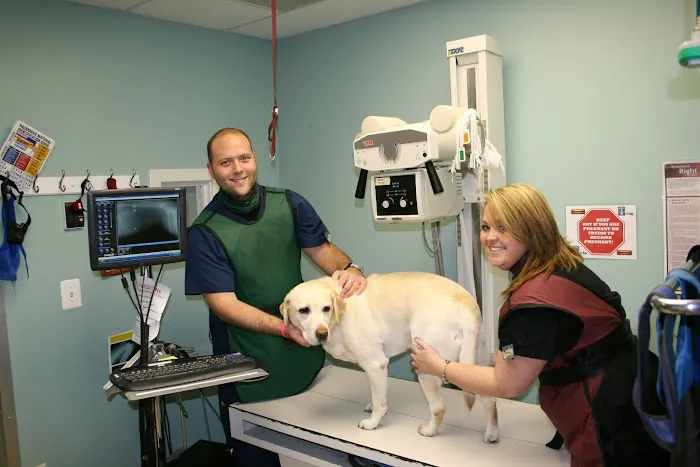 VCA Woodbridge Animal Hospital 12
