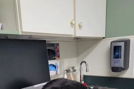 Woodbridge Animal Hospital: Shackelford Tonya DVM