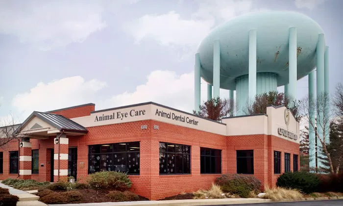 Animal Dental Center 1