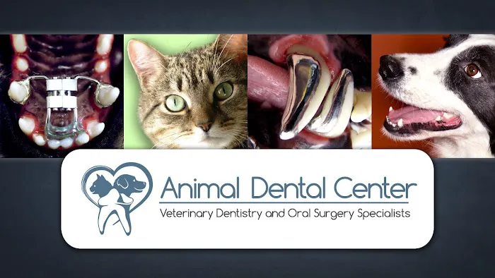 Animal Dental Center 5