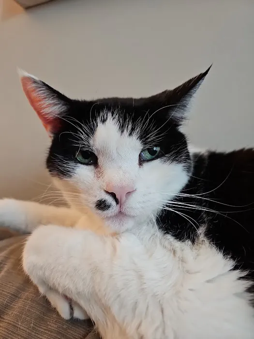 Eye Care for Animals - Columbia 2