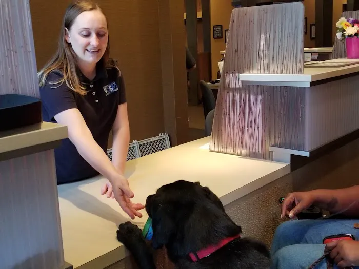 Veterinary Orthopedic & Sports Medicine Group, A Thrive Pet Healthcare Partner 2