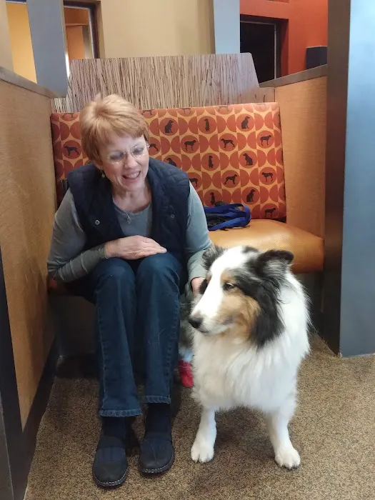 Veterinary Orthopedic & Sports Medicine Group, A Thrive Pet Healthcare Partner 3