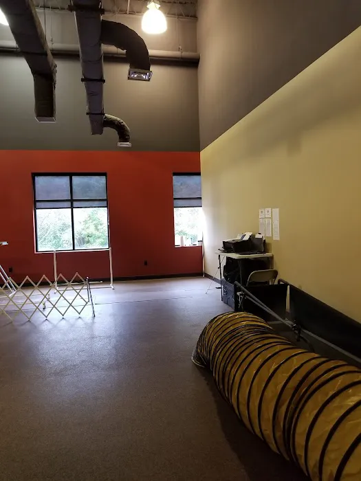 Veterinary Orthopedic & Sports Medicine Group, A Thrive Pet Healthcare Partner 6