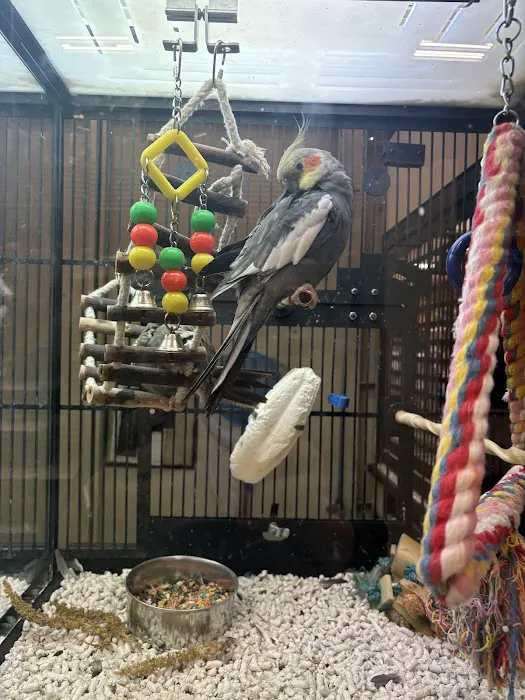 Banfield Pet Hospital 12