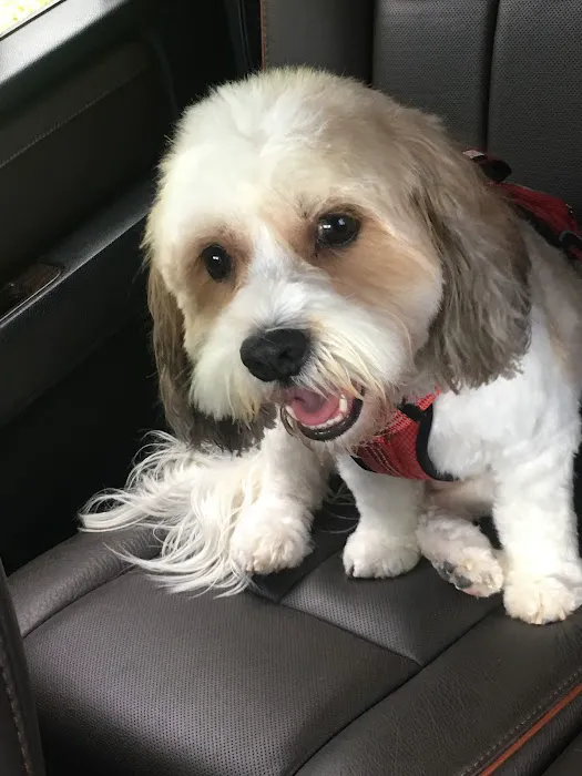 Banfield Pet Hospital 12