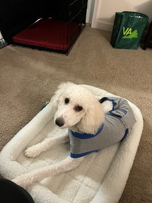 Bowie Spay & Neuter 12