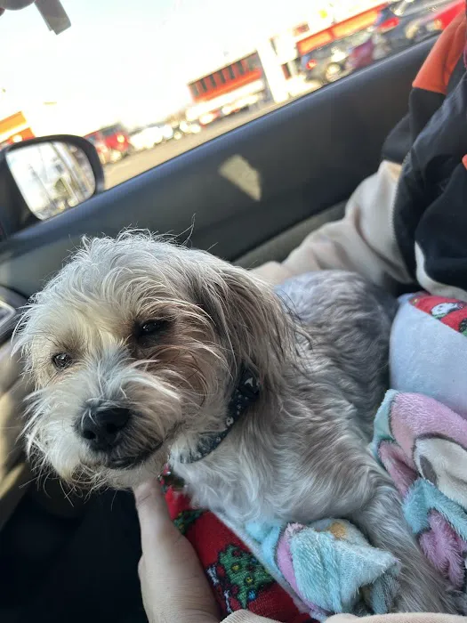 Bowie Spay & Neuter 12