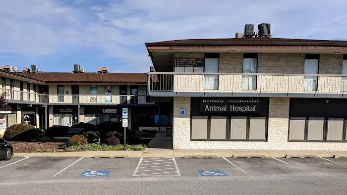 Bethany Centennial Animal Hospital 4