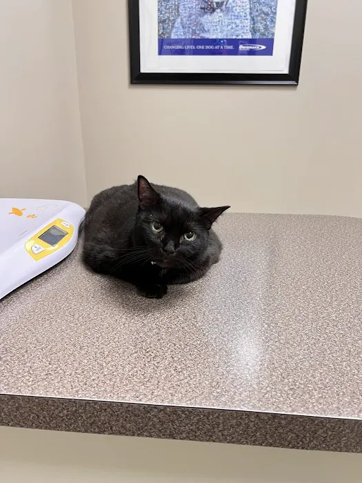 Bethany Centennial Animal Hospital 8