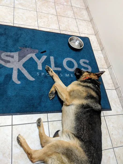 Skylos Sports Medicine - Ellicott City 12