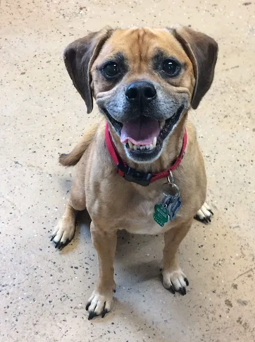 Banfield Pet Hospital 7