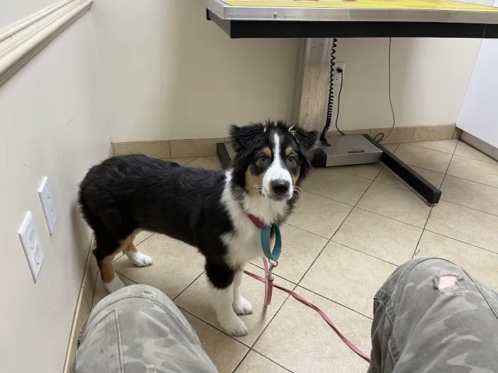 Marriottsville Animal Hospital 3
