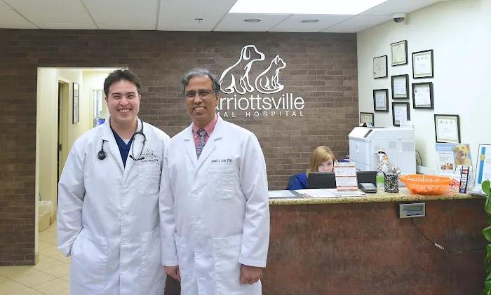 Marriottsville Animal Hospital 6