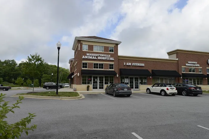 Marriottsville Animal Hospital 7