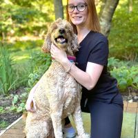 HomeVets & HomeVets Patapsco Valley ico