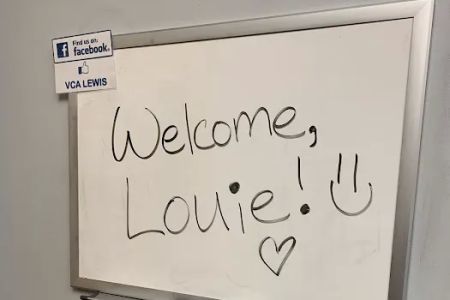 VCA Lewis Animal Hospital