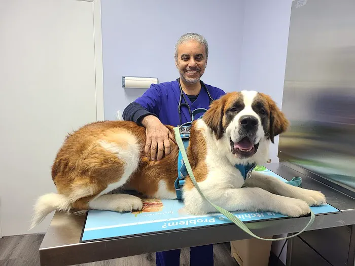 Howard County Animal Hospital 2
