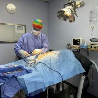 Howard County Animal Hospital ico