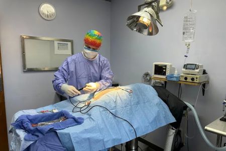Howard County Animal Hospital