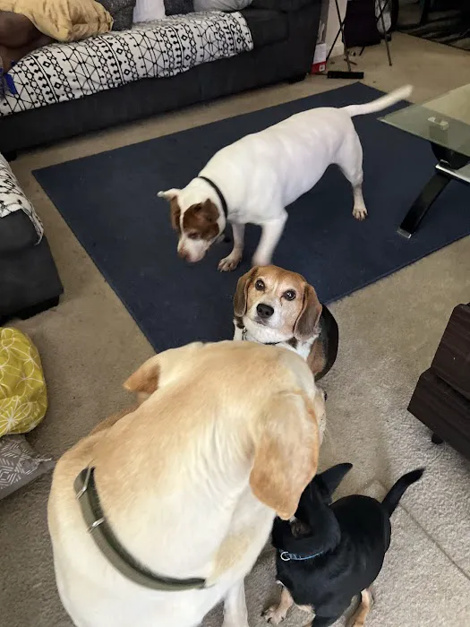 Howard County Animal Hospital 7