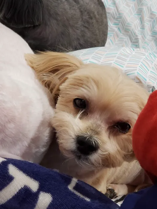 Banfield Pet Hospital 8
