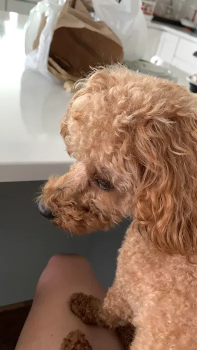 Banfield Pet Hospital 7
