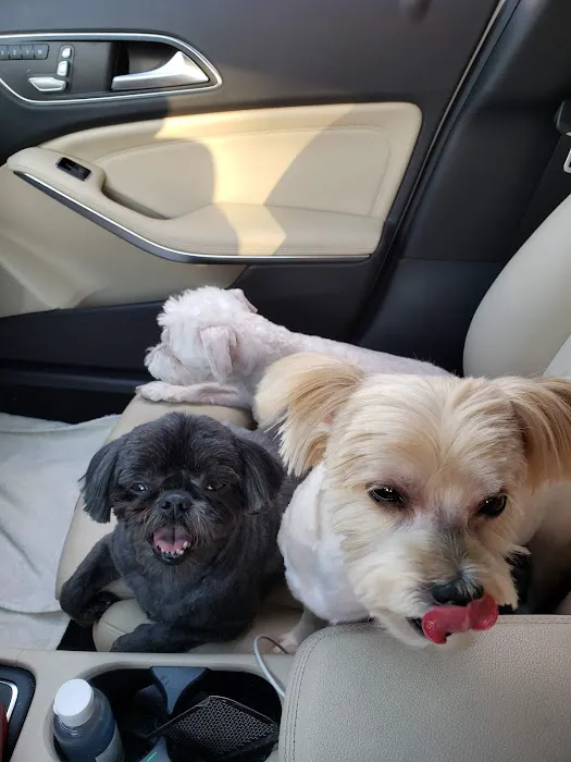 Banfield Pet Hospital 5
