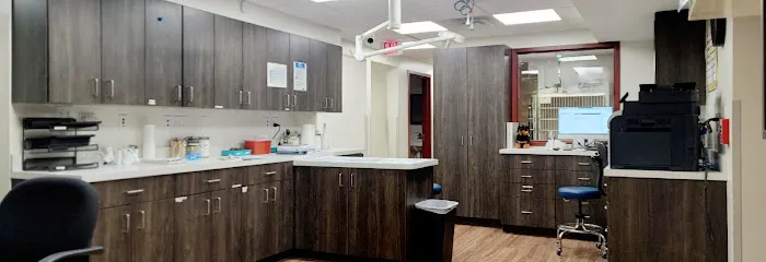 VCA Telegraph Road Animal Hospital 4