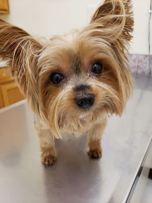 Odenton Veterinary Hospital 5