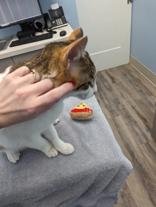 Odenton Veterinary Hospital 1