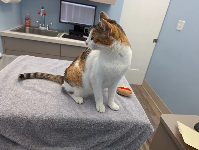 Odenton Veterinary Hospital 9