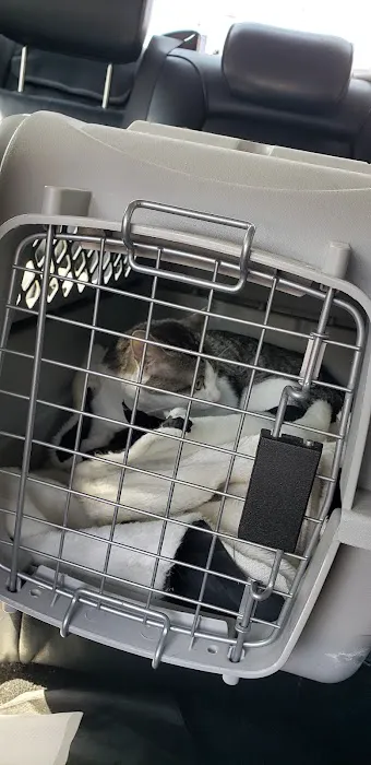 Loving Pet Care Hospital 4