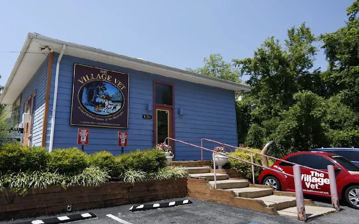 The Village Vet 12