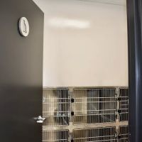 Lakeview Animal Hospital ico