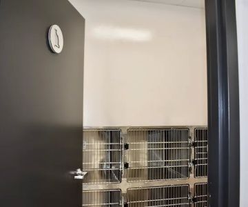 Lakeview Animal Hospital