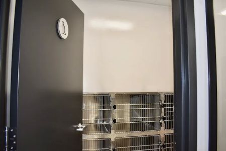 Lakeview Animal Hospital