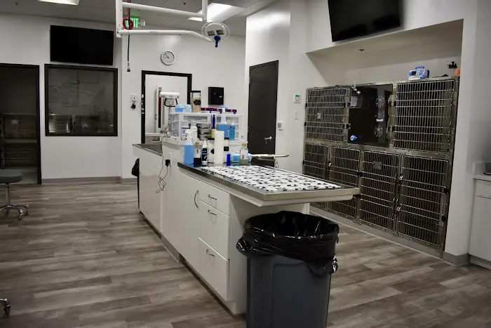 Lakeview Animal Hospital 6