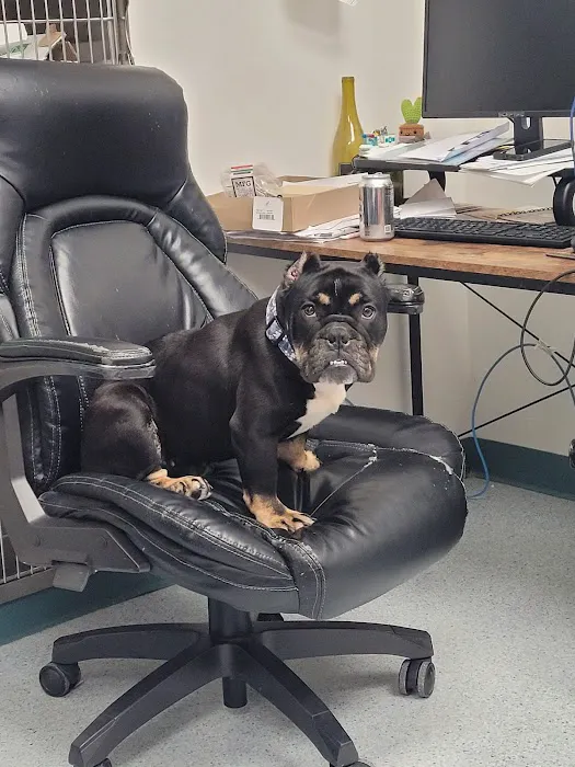 Ruxton Animal Hospital 4