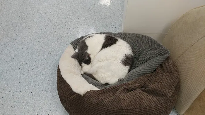 Ruxton Animal Hospital 9
