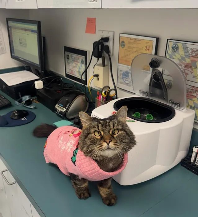 Ruxton Animal Hospital 7
