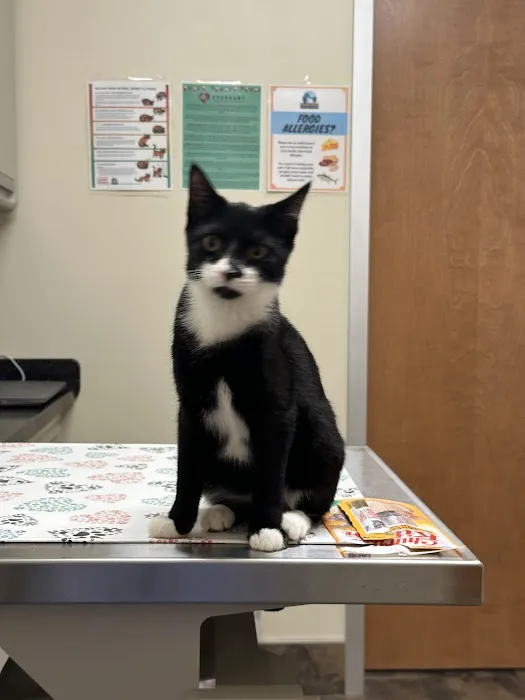 Everhart Veterinary Cross Keys 12