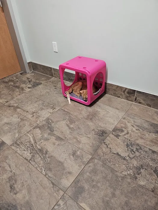 Everhart Veterinary Cross Keys 12