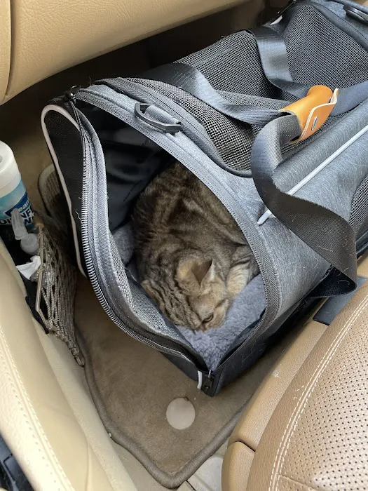 Cat Hospital At Towson 12